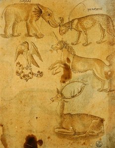 Animali