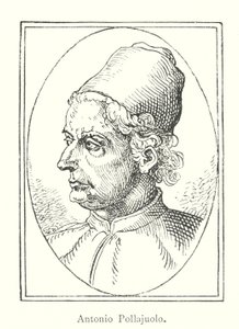 Antonio Pollaiuolo da Italian School