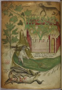 Illustrazione botanica e animale di piante, un giardino recintato, un lupo, un uomo che pesca in un ruscello con una rete e un avvoltoio che becca la carcassa di un animale, 1440 circa (inchiostro e colore su pergamena) da Italian School