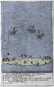 Pesca del corallo nel Golfo di Trapani in Sicilia, rappresentazione di piccole isole sottomarine dove si formano barili di corallo. Incisione da 