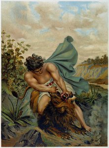 Davide che combatte contro un leone in "Aurea Bibbia classica: storia della rivelazione divina nell