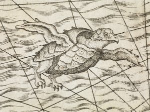 Dettaglio di una tartaruga volante su una mappa dell