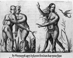Diversi tipi di mostri umani: un uomo con corpi e teste doppie e una donna con quattro gambe e due sessi. Incisione da “De monstrorum natura, causis et differentiis” di Fortunio Liceti (1577-1656), scienziato italiano. 1646 da Italian School