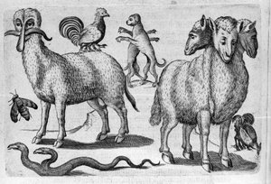 Diversi tipi di animali mostruosi, con corpi multipli o un numero anomalo di arti. Incisione da “De monstrorum natura, causis et differentiis” di Fortunio Liceti (1577-1656), scienziato italiano. 1646 da Italian School