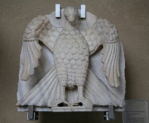 Aquila