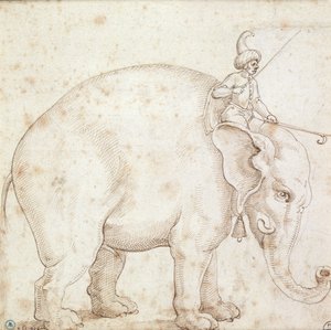 Elefante Hanno e il suo mahout da Italian School