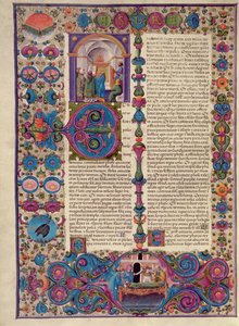Libro dell