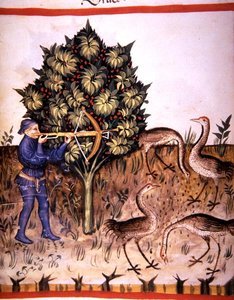 Fol.70v Caccia alla Gru, illustrazione da 