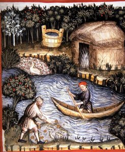 Fol.82r Pesce Fresco, illustrazione da 