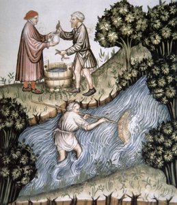 Fol.84r Pesca, illustrazione dal Tacuinum Sanitatis Codex Vindobonensis da Italian School