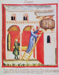 Fol.85v Aceto, illustrazione dal Tacuinum Sanitatis Codex Vindobonensis