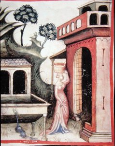 Fol.88v Acqua di Sorgente, illustrazione da 