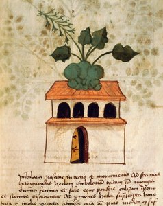 Giardino pensile