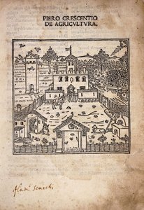 Pagina del titolo illustrata da 