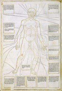 Illustrazione da 