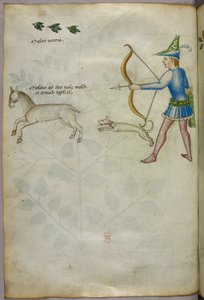 Illustrazione di un uomo con arco che spara a un animale, con un cane e uccelli sopra, 1440 circa (inchiostro e colore su pergamena) da Italian School