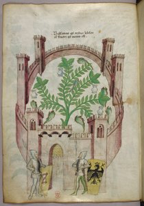 Illustrazione del giardino del balsamo del Cairo (Fustat), con sette vasche d