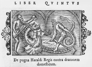 Re Harald che combatte un drago, illustrazione da Historia de Gentibus Septentrionalibus di Olaus Magnus (1490-1558), pubblicato a Roma, 1555