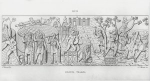La Colonna Traiana da Italian School