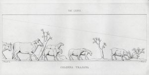 La Colonna Traiana da Italian School