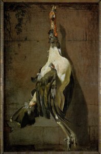 Le dindon - il tacchino ...