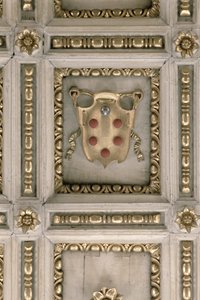 Stemma dei Medici, dal soffitto della chiesa da Italian School