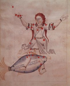 Ms.1036 La costellazione dei Pesci, da 