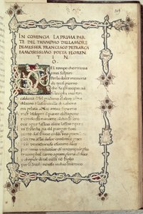 Il trionfo dell