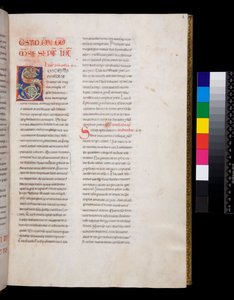 Ms 143. Gregorio Magno, Registrum Epistolarum, f.8r. Iniziale decorata [S] con riempimento di foglie di vite bianche e pinnacoli