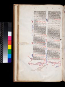 Ms 164. Pietro Lombardo, Sententiae, f.15v. Decorazione a penna bas-de-page sviluppata in ibridi uccello/dragone