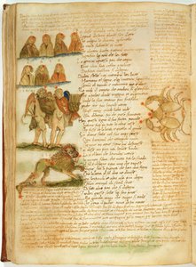 Gemelli, Leone e Cancro, dal 