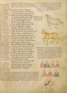 Ms Italien 87 fol.171 Pagina che illustra i segni astrologici, da 
