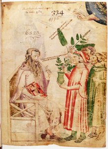Uomini che presentano piante a un uomo sconosciuto, da De Herbis di Manfredus de Monte Imperiali