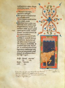 Pagina del calendario illuminata per aprile da Italian School