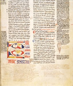 Ms. McClean 135, f.96r: dettaglio di una iniziale istoriata a forma di pianta da Gratians Decretum, fine XII secolo