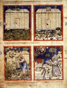 Arca di Noè, Miniatura tratta dal codice 212 (o codice padovano o Bibbia di Padova) 1390-1400 Rovigo, Accademia dei Concordi da Italian School
