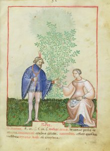 Rose, dal Tacuinum Sanitatis, c.1390-1400 da Italian School