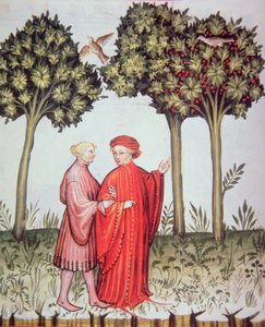 Nova 2644 fol.102v Due amici a passeggio insieme, dal Tacuinum Sanitatis Codex Vindobonensis da Italian School