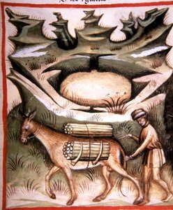 Nova 2644 fol.90r Neve e Ghiaccio, da 