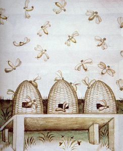 Alveari, dal Tacuinum Sanitatis