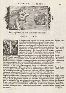 Pagina 735 da Historia De Gentivus Septentrionalibus di Magnus Olaus, Roma 1565 da Italian School
