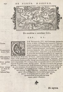 Pagina 740 da Historia De Gentivus Septentrionalibus di Magnus Olaus, Roma 1565 da Italian School