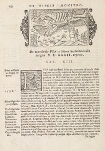 Pagina 742 da Historia De Gentivus Septentrionalibus di Magnus Olaus, Roma 1565 da Italian School