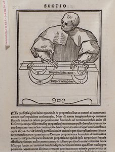 Pagina di Musica teorica di Lodovico Fogliani (1475?-1542)