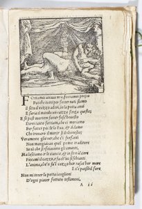 Pagina da 