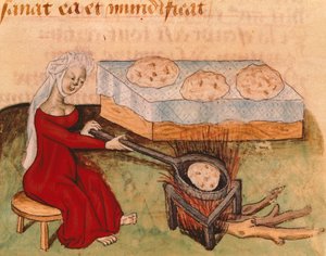 Pagina dal Tractatus de Herbis di Dioscoride Pedanio