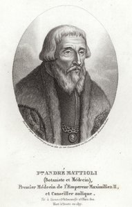 Pietro Andrea Mattioli da Italian School