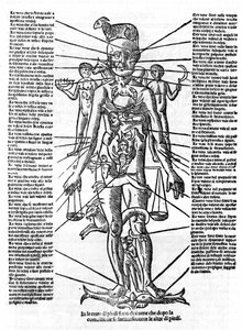 Tavola che rappresenta un corpo umano con la posizione di tutti gli organi e i segni zodiacali corrispondenti a loro per le loro influenze astrologiche. Tavola tratta da 