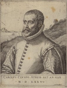 Ritratto di Carolus Clusius da Italian School