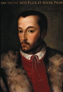 Ritratto di Francesco I de
